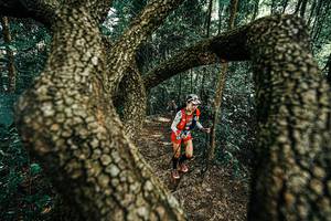 BIB: 
                            <button type="button" onclick="openModal(25392621)" class="btn btn-primary btn-sm float-right btn-popup" data-toggle="modal" data-target=".modal-high-quality">
                        <i class="fas fa-shopping-cart"></i> Add to Cart
                    </button>
                                            <button type="button" onclick="isThisMe(25392621, true)" class="btn btn-success btn-sm float-right btn-popup btn-isme hidden" data-toggle="tooltip" data-placement="bottom" title="นี่คือรูปของคุณใช่ไหม คลิกที่นี่เพื่อเอาเข้าอัลบั้ม">
                        <i class="fas fa-plus"></i> Add to album
                    </button>
                    <button type="button" onclick="isThisMe(25392621, false)" class="btn btn-warning btn-sm float-right btn-popup btn-isnotme hidden">
                        <i class="fas fa-ban"></i> Remove from album
                    </button>